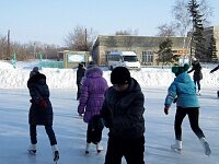 поездка на каток Редкая Дубрава_30.01.2016. 2