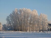 Зимние мотивы на школьную тему 3